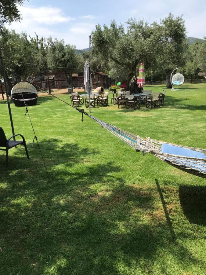 الشقق الفندقية مدينة سكياثوسفي  Oasis المظهر الخارجي الصورة